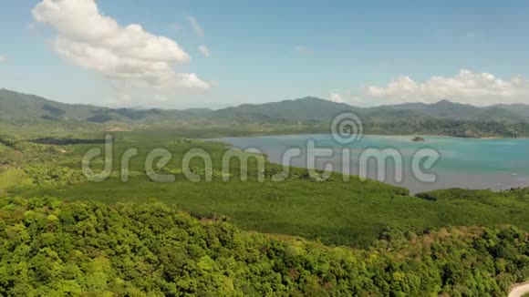 热带森林和山脉巴拉望菲律宾视频的预览图