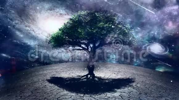 生命之树视频的预览图