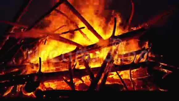 森林中的大篝火在夜晚燃烧视频的预览图