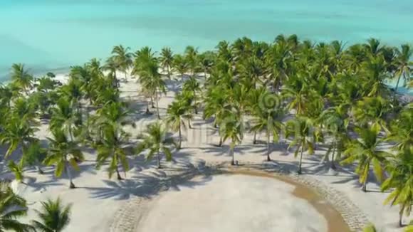 棕榈树在巴拉巴茨的奥诺克岛的白沙海岸上的鸟瞰图视频的预览图