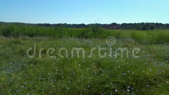 乌克兰赫森地区的草原视频的预览图