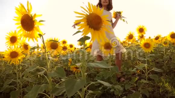 可爱的女孩生活方式在黄色花园的向日葵阳光在夏天美丽的日落小女孩向日葵视频的预览图
