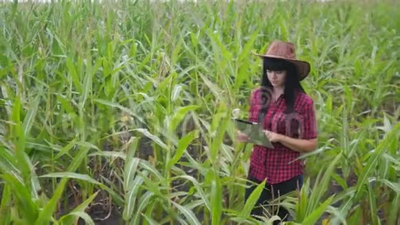 智慧生态农业养殖理念农民女孩植物研究人员在检查时使用并触摸生活方式平板电脑视频的预览图