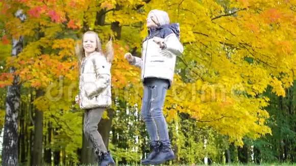 秋日户外公园温暖的一天可爱的小女孩视频的预览图
