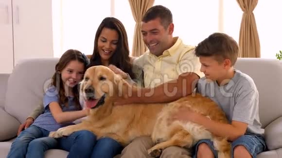 带着金毛猎犬在沙发上微笑的家人视频的预览图