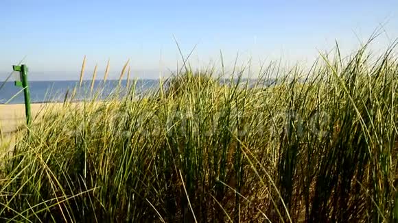 波罗的海海滩海滩草风和波罗的海视频的预览图