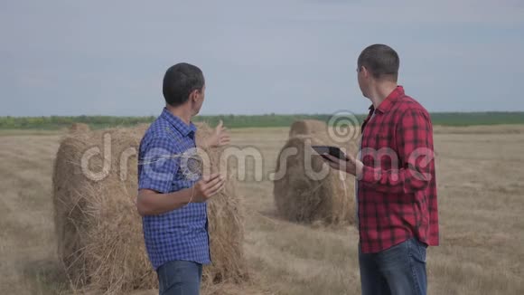 团队农业智慧农业理念两名男性农民在数字生活领域研究干草堆视频的预览图