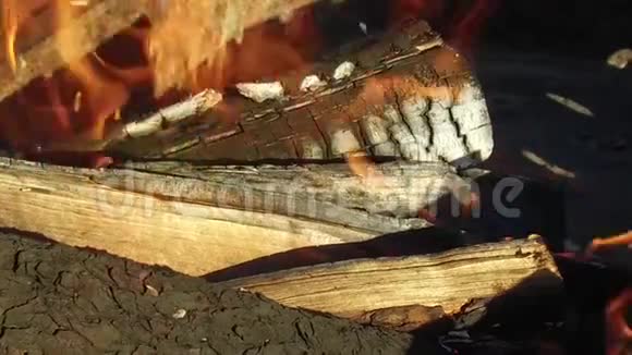 在室外燃烧的木柴视频的预览图