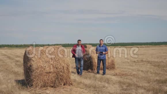 团队农业智慧农业理念生活方式两个男的农民工人走在田野的草堆上视频的预览图
