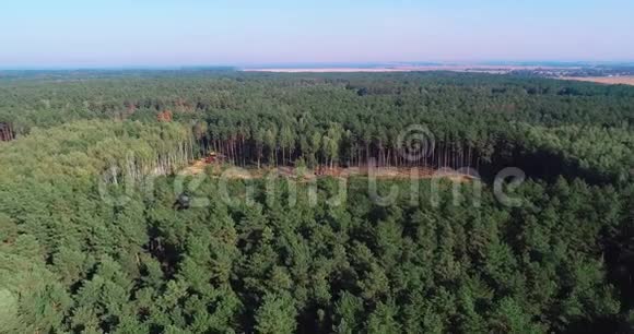 砍伐鸟瞰图工业规模的砍伐森林使用特殊设备砍伐森林砍伐森林视频的预览图