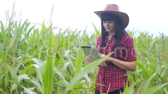 智慧生态农业生活方式养殖理念农民女孩植物研究员在检查时使用和触摸平板电脑视频的预览图