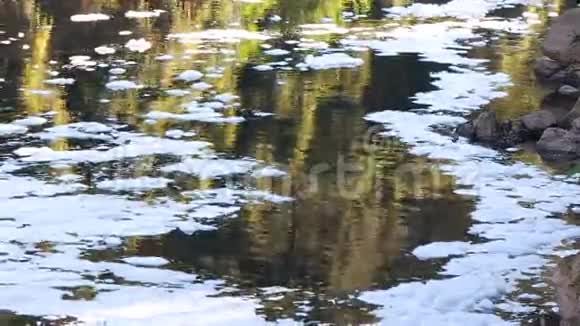 蒂特河污染的泡沫视频的预览图