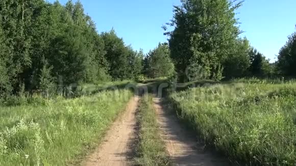 维捷布斯克地区令人惊叹的自然视频的预览图
