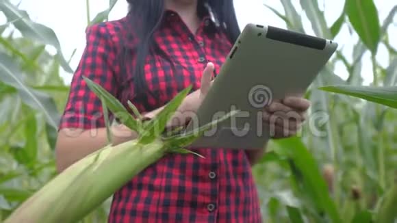 智慧生态农业养殖理念一位植物研究者在检查生活方式的同时使用触摸平板电脑视频的预览图