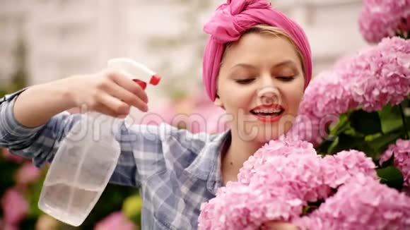 快乐的女人花匠温室的花护花和浇水土壤和肥料绣球花视频的预览图