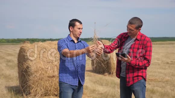 团队农业智慧农业理念生活方式两个男子农民工人在数字领域研究干草堆视频的预览图