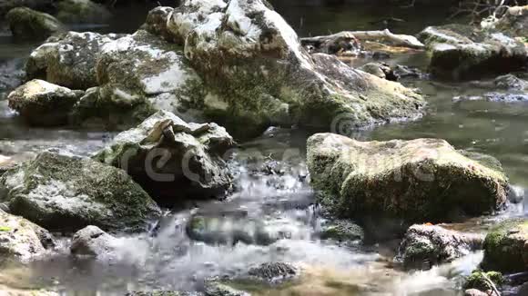 小溪的春天视频的预览图