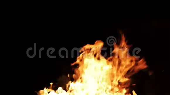 在黑色背景下隔离的真火循环视频视频的预览图