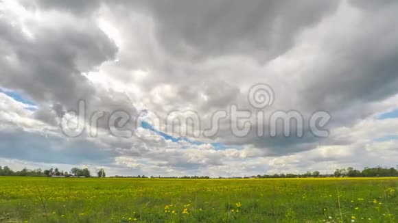 绿色的田野和多云的天空时间美丽的夏日风景视频的预览图