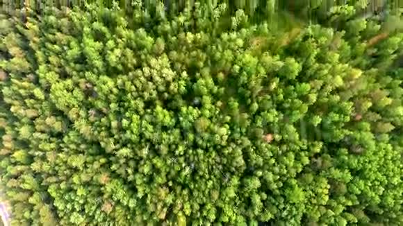 俄罗斯布里亚蒂亚贝加尔湖针叶林空中观景路视频的预览图