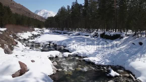 森林里的冬季河流视频的预览图
