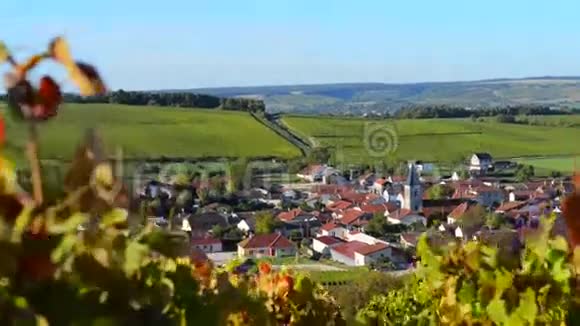 奥贝省CotedesBar地区靠近巴罗维耶的香槟葡萄园阿登视频的预览图