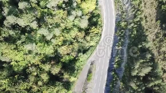 法国比利牛斯的空中森林景观和路径视频的预览图