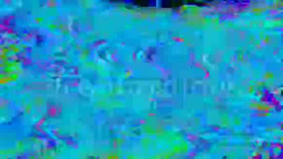 抽象误差数据几何怀旧彩虹背景视频的预览图