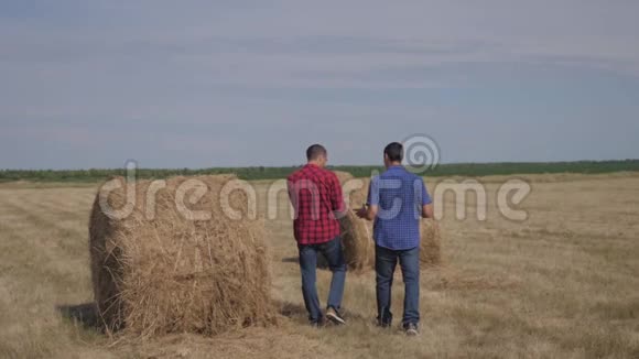 团队农业智慧农业理念两个男农民的生活方式是走在田野上的草堆上视频的预览图