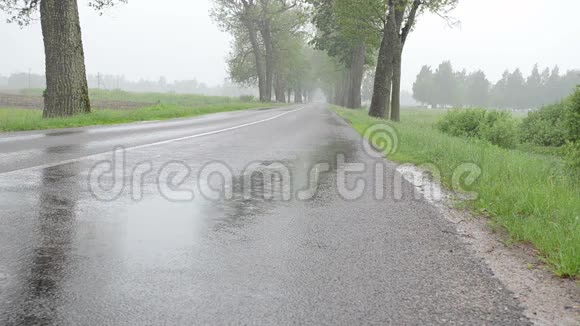 雨车沥青路视频的预览图