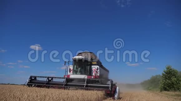 联合收割机割麦慢动作视频生活方式农业收获概念田间联合收割视频的预览图