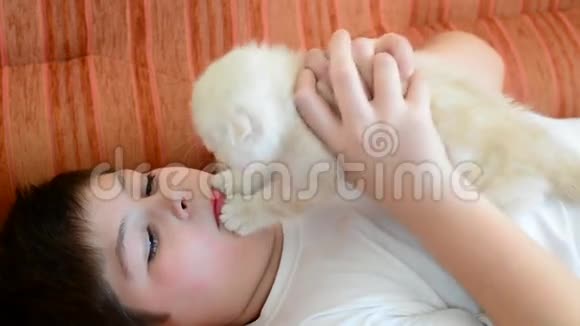 小男孩在沙发上和小猫玩耍视频的预览图