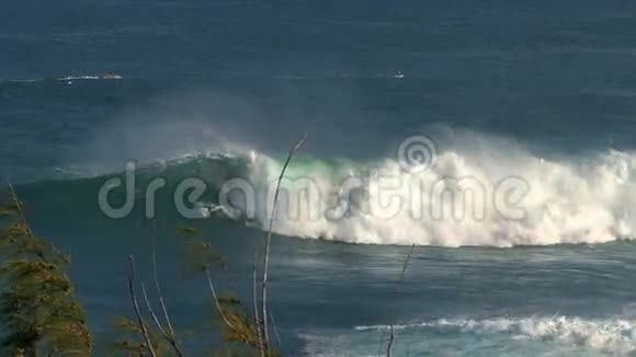 夏威夷毛伊岛北岸的冲浪者在巨浪中的冲浪者视频的预览图