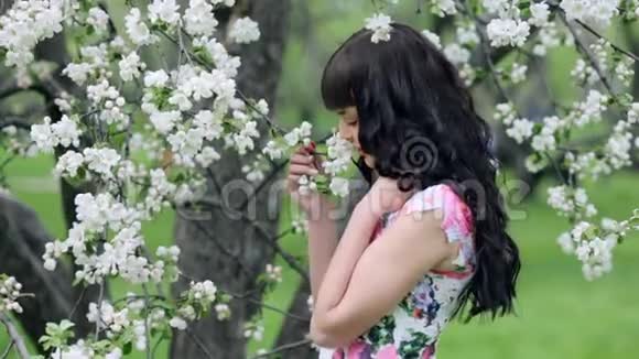 阳光明媚的一天年轻美丽的女人在享受盛开的树的气味视频的预览图