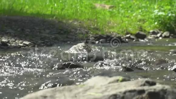 那个拿着背包和棍子追踪旅行者的女人穿过了一条山涧视频的预览图