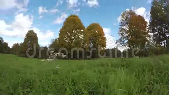 秋天的草甸时间流逝4K视频的预览图