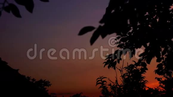 日落与树木剪影潘视频的预览图