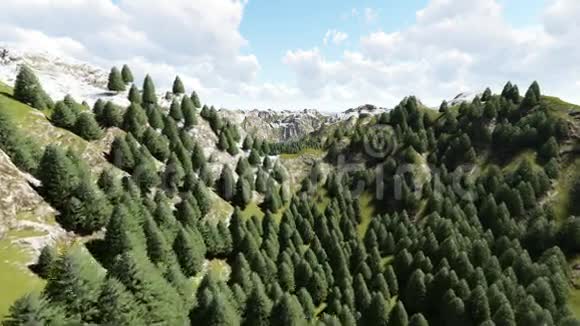 飞过美丽的山像美丽的森林视频的预览图