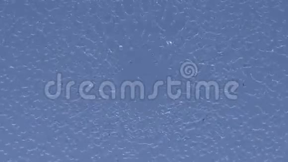 慢动作水动画在蓝色背面闪烁水滴的运动视频的预览图