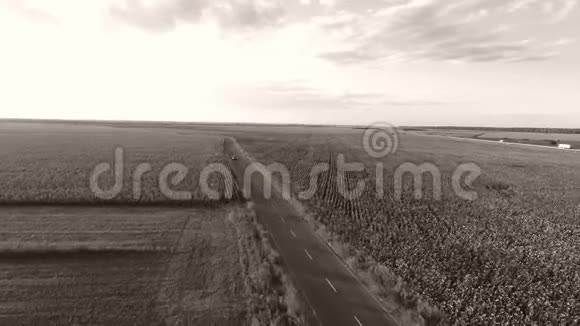从无人驾驶飞机上看到田野中央的道路视频的预览图