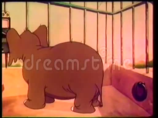 大象在付费电话上说话视频的预览图
