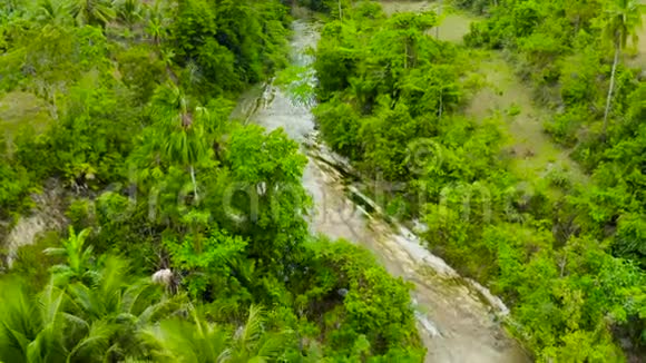 菲律宾宿务雨林中的山区河流视频的预览图