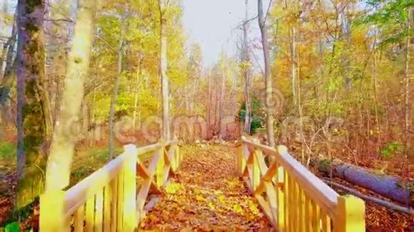 木桥在秋日视频的预览图