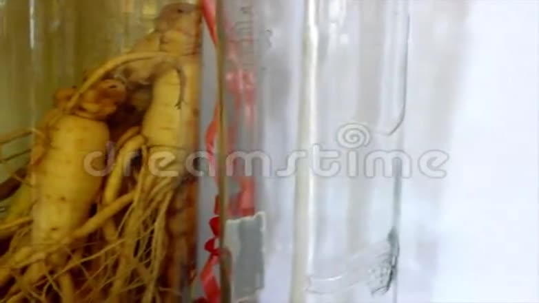 米酒用风茄和蛇浸泡视频的预览图