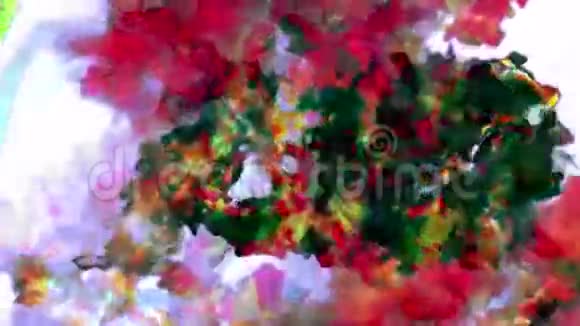 彩色粒子图案三维动画循环视频的预览图