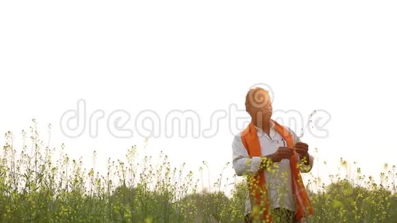 黑芥子田的印度农民视频的预览图