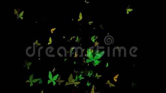 成群的蝴蝶向上盘旋视频的预览图