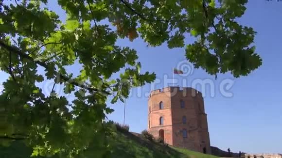 维尔纽斯中世纪格迪米纳斯城堡塔象征城市视频的预览图
