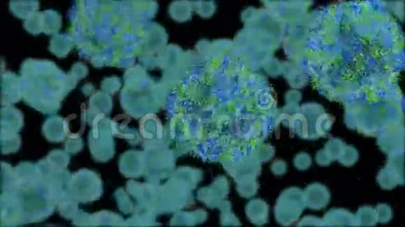 细胞病毒运动混乱录像可以循环播放视频的预览图
