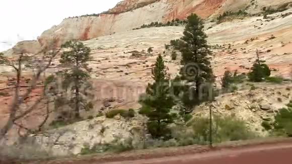 令人难以置信的美丽景观锡安国家公园华盛顿县犹他州美国在道路上平稳的摄像机移动视频的预览图